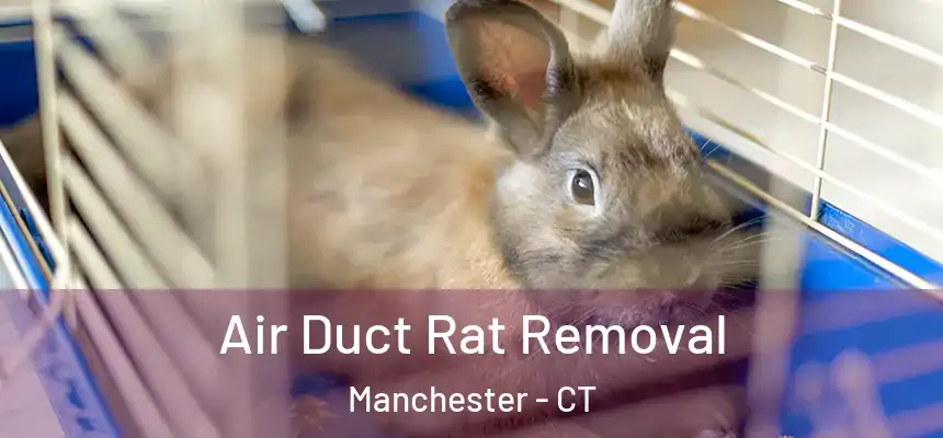 Air Duct Rat Removal Manchester - CT