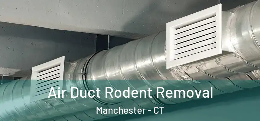 Air Duct Rodent Removal Manchester - CT