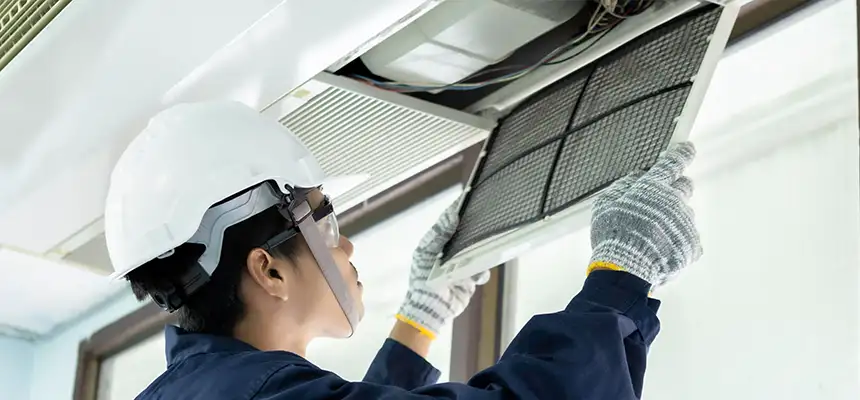 Our Lint Trap Cleaning Service Services in Manchester, CT