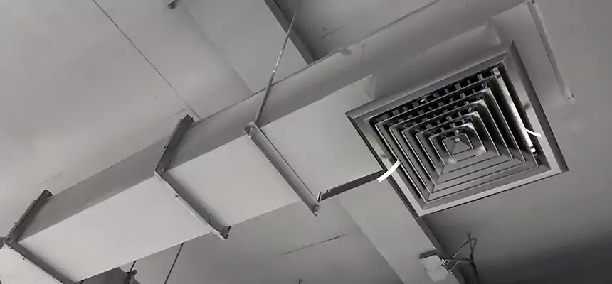 Our Rodent Droppings In Vents Services in Manchester, CT