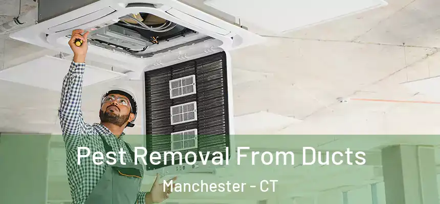  Pest Removal From Ducts Manchester - CT