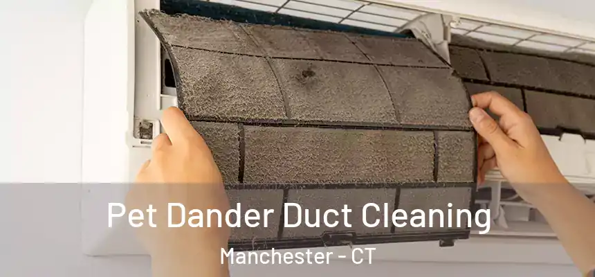 Pet Dander Duct Cleaning Manchester - CT