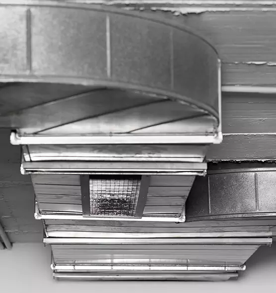 Professional Air Duct Pest Removal in Manchester, CT