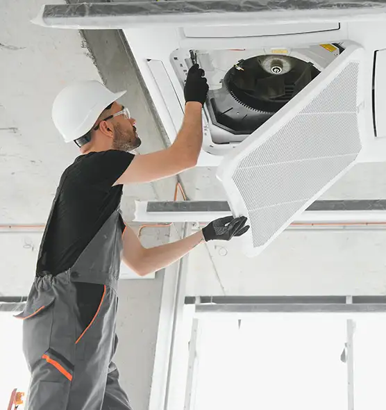 About Air Duct Rodent Removal in Manchester, CT