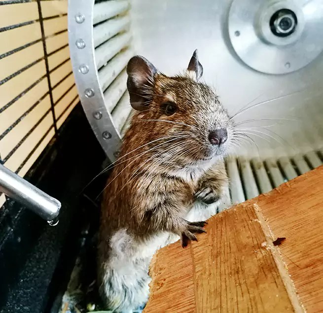 Why Homeowners & Businesses Trust Us Manchester, CT?