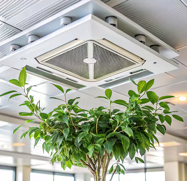 Why Homeowners & Businesses Trust Us in Manchester, CT?